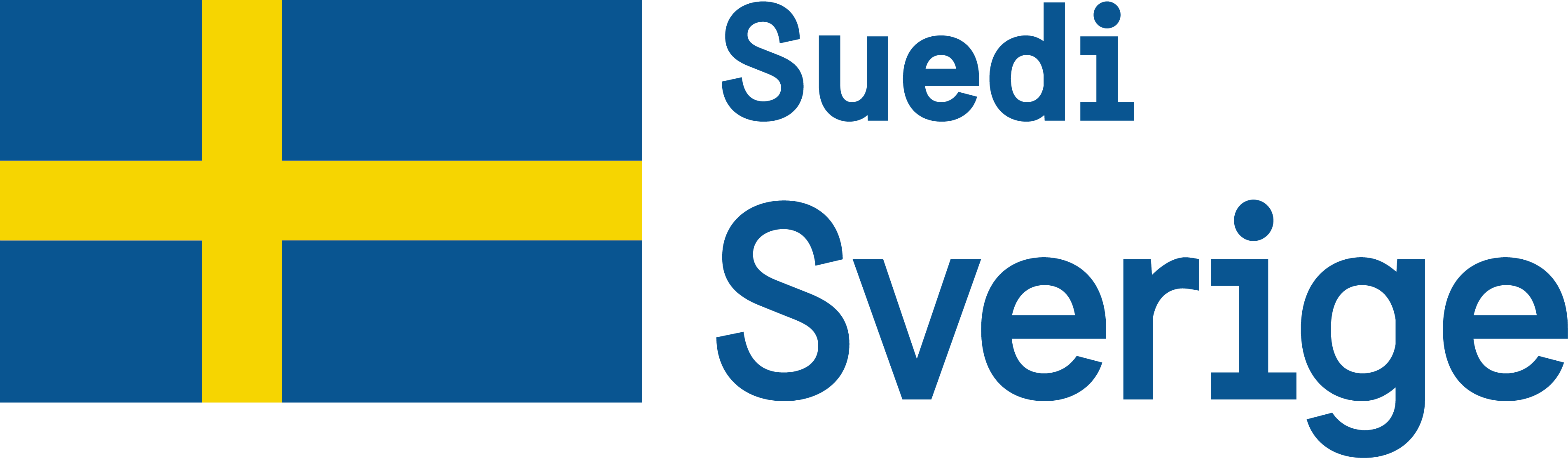 logo_amb_suedeze.png